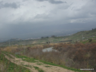 lle del Simeto-24-02-2013 12-00-16